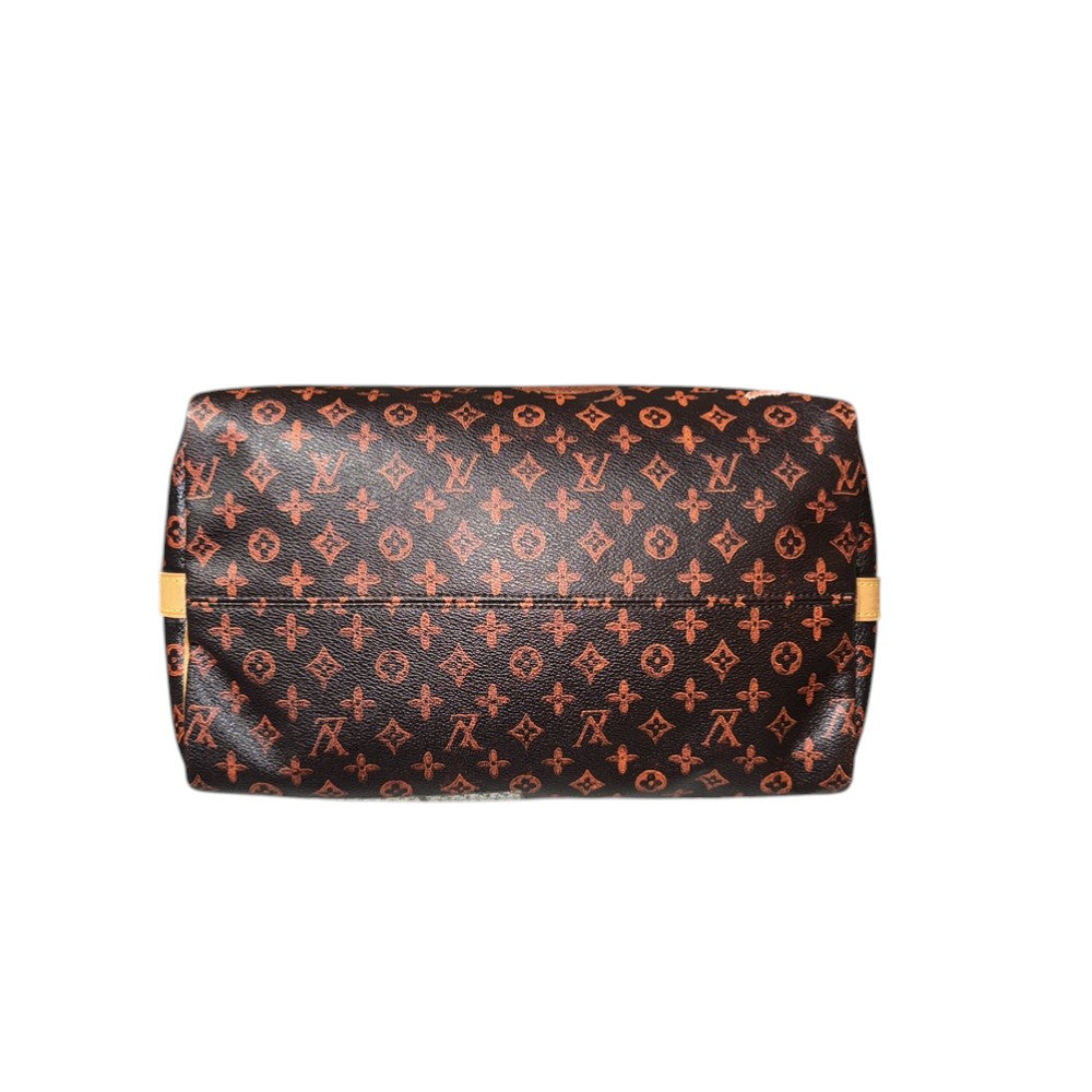 LOUIS VUITTON CATGRAM SPEEDY 30